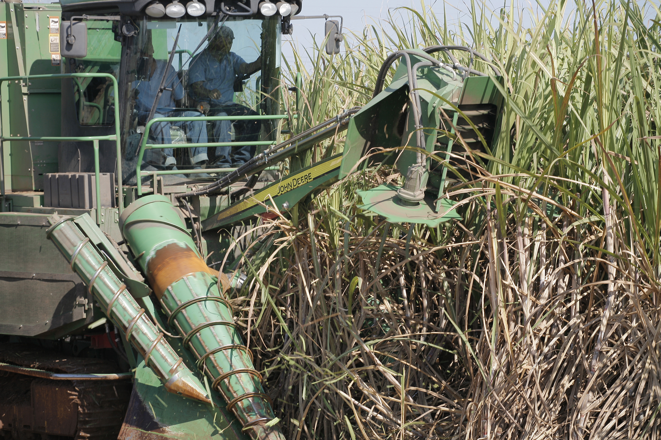 Sugarcane harvest for the second half of July 2020