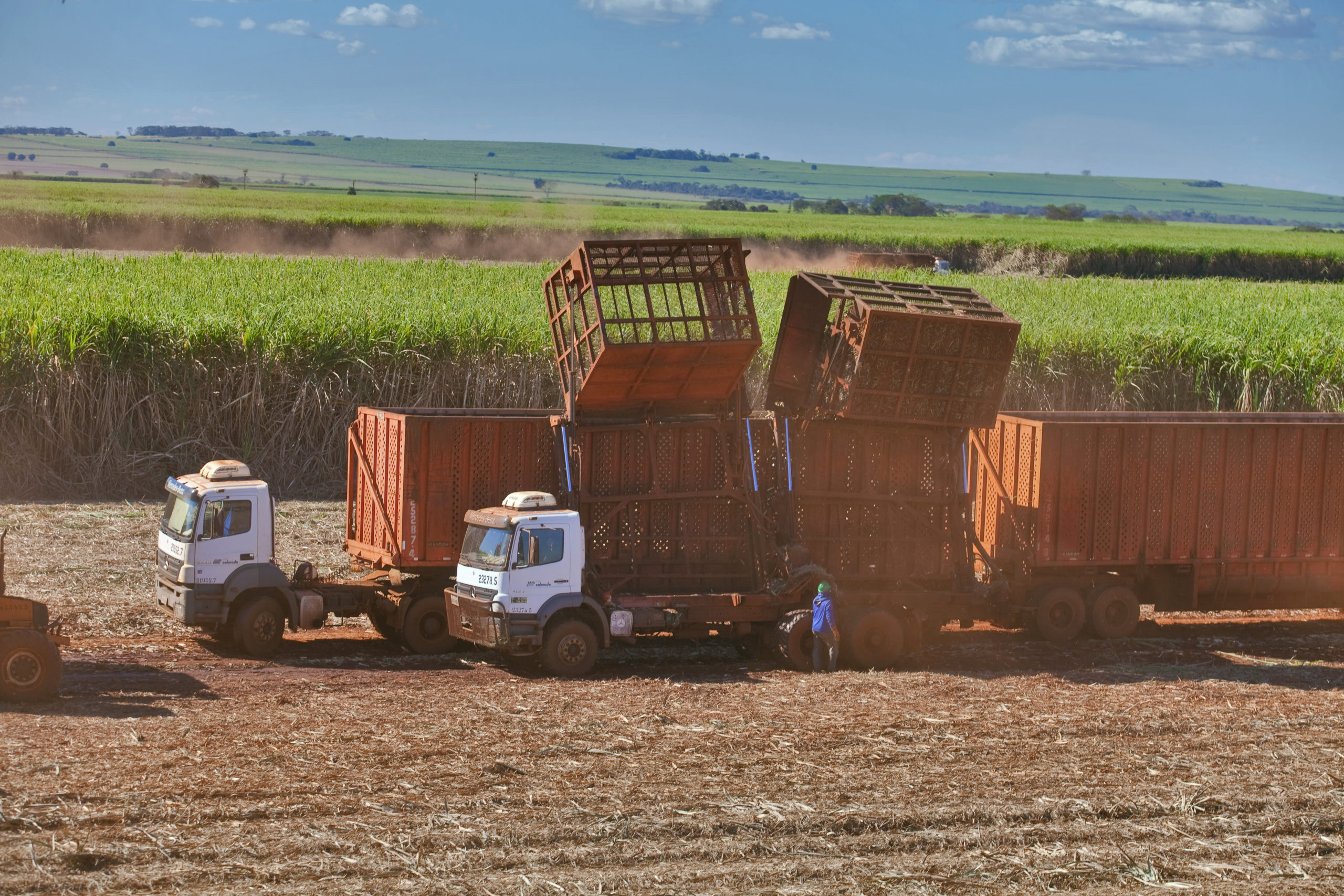 Sugarcane harvest for the first half of November 2020