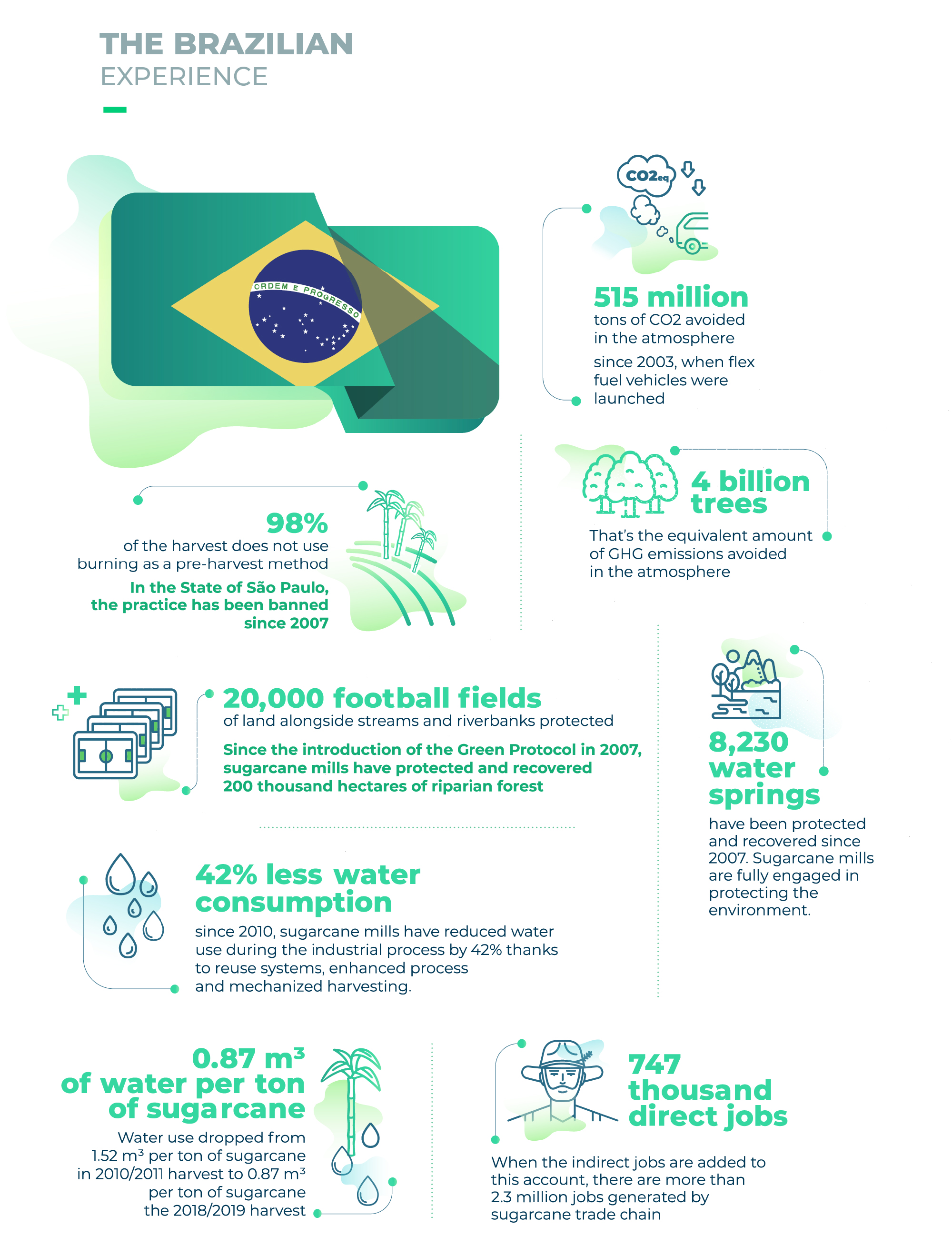 THE BRAZILIAN EXPERIENCE