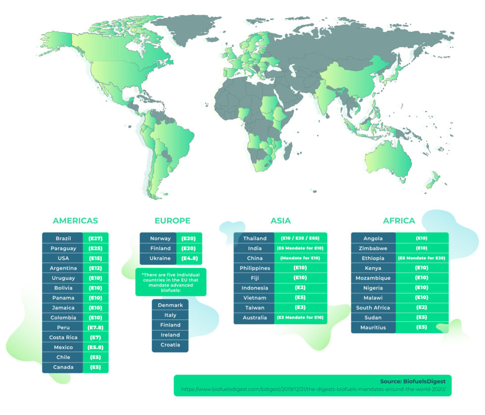 Infographics SugarCane