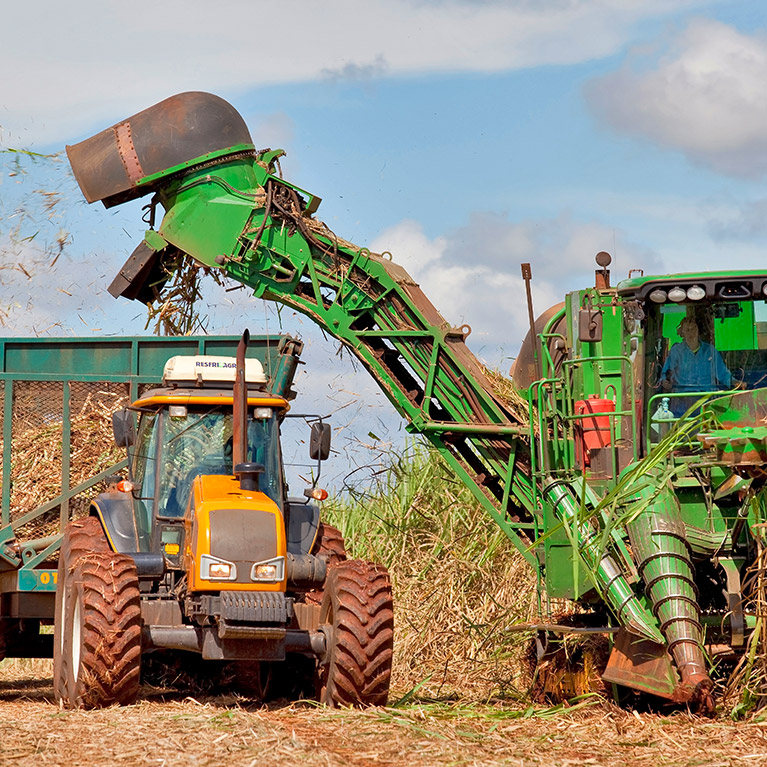 Sugarcane harvest for the second half of may 2021