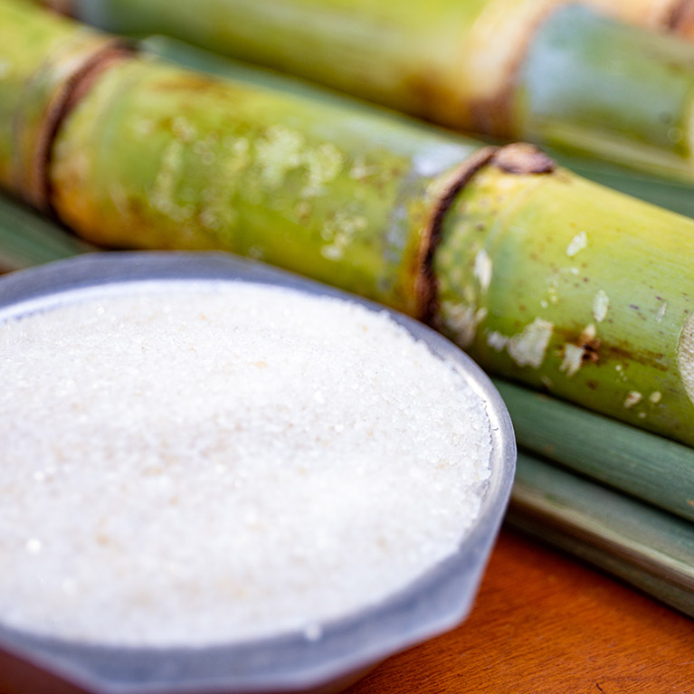Sugarcane harvest for the second half of July 2021