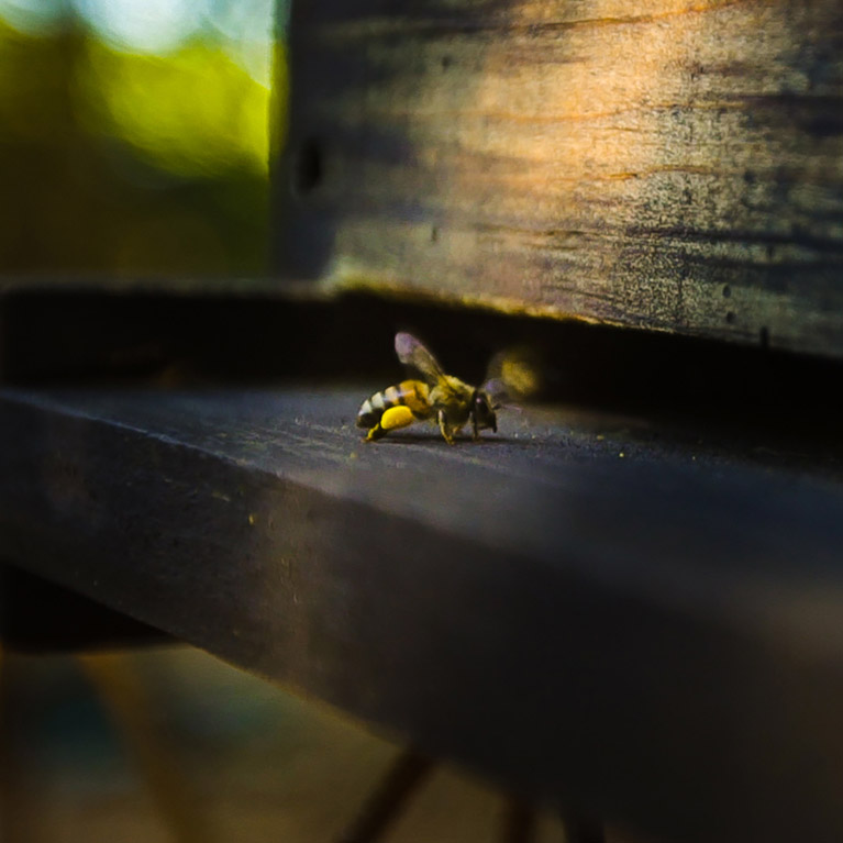 MYTHS AND FACTS - SUSTAINABILITY MYTHS AND FACTS - SUSTAINABILITY