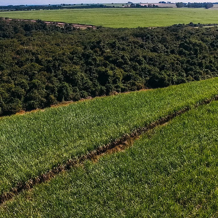 MYTHS AND FACTS - SUSTAINABILITY MYTHS AND FACTS - SUSTAINABILITY