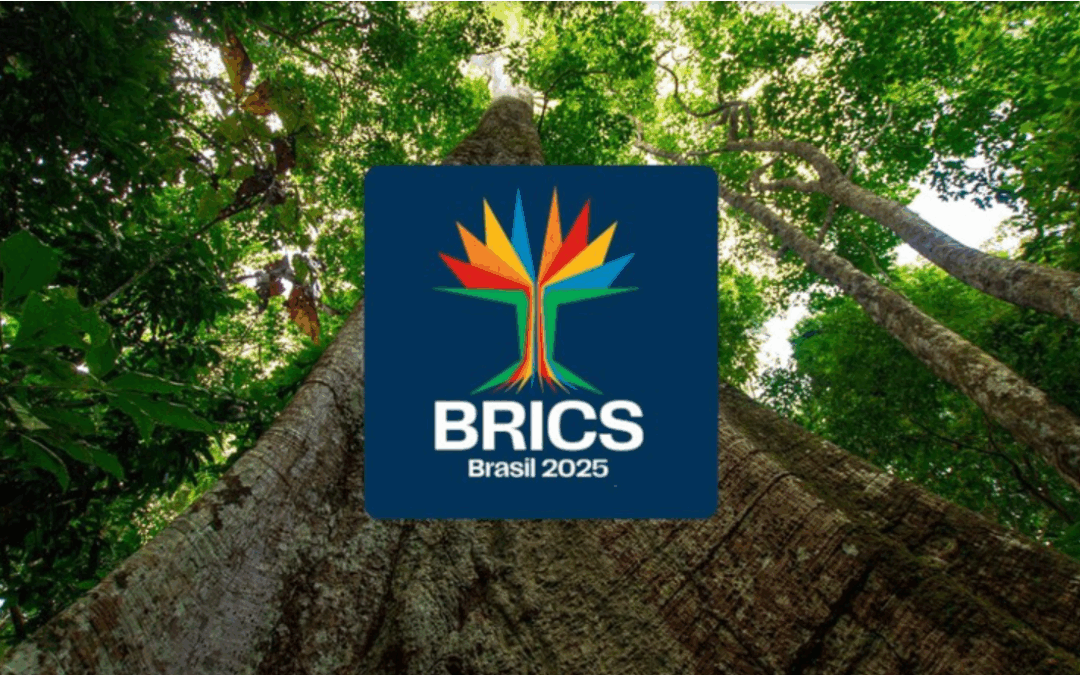 BRICS Summit 2025
