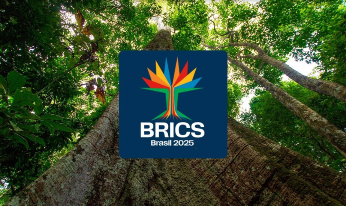 BRICS Summit