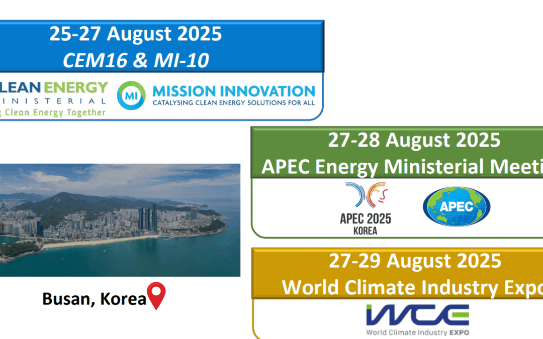 Clean Energy Ministerial Senior Officials’ Meeting (CEM16-MI-10)