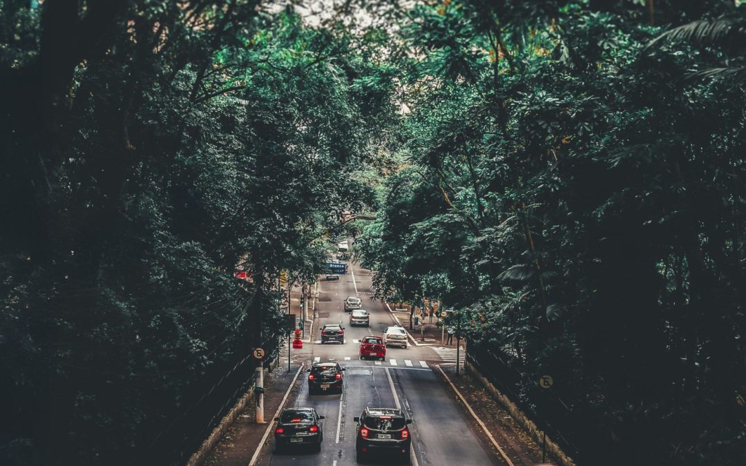 E30: a new important step in Brazil’s journey toward low carbon transportation
