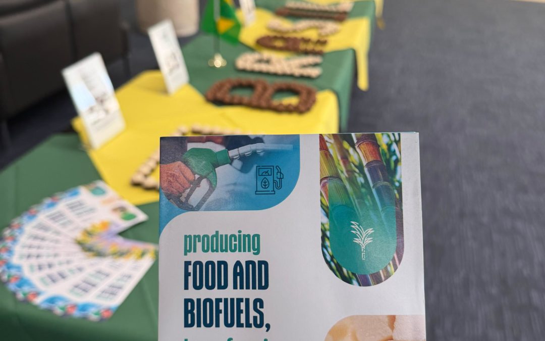 IMO Discusses Mechanisms and Incentives to Accelerate Sustainable Biofuel Adoption