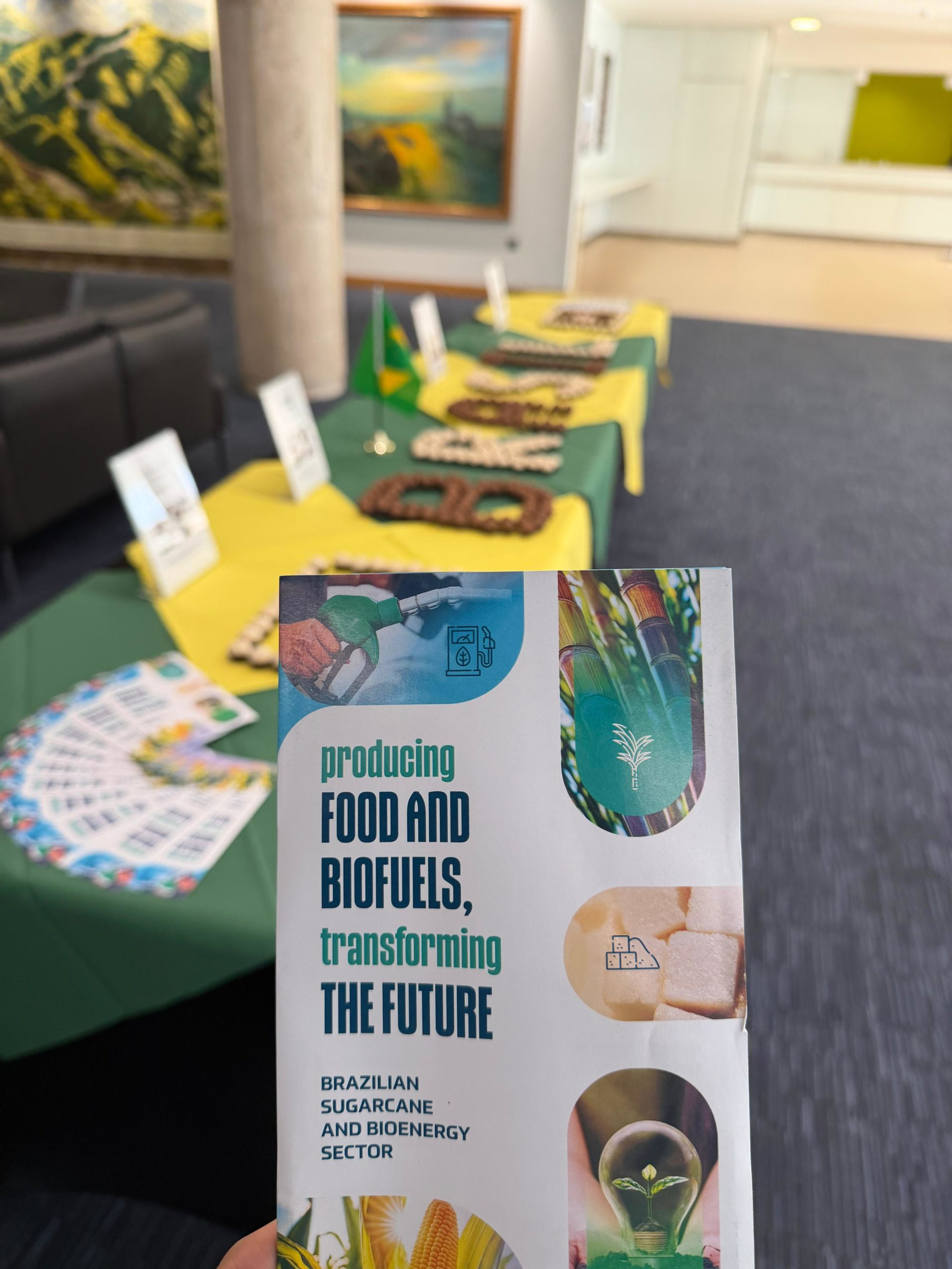 IMO Discusses Mechanisms and Incentives to Accelerate Sustainable Biofuel Adoption